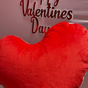 Cojines personalizables con frases